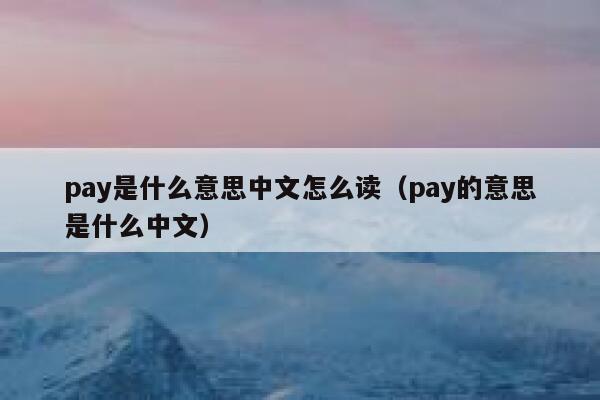 pay是什么意思中文怎么读（pay的意思是什么中文） 第1张