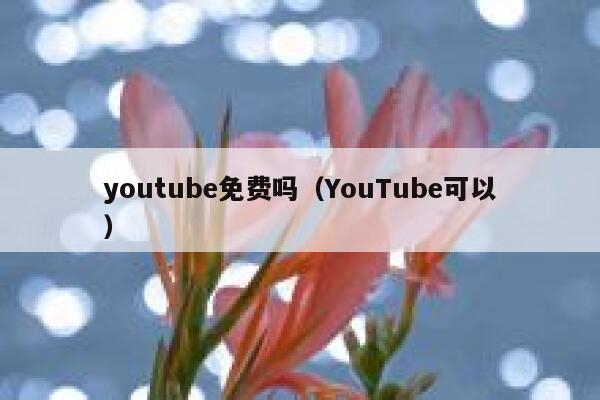youtube免费吗（YouTube可以） 第1张