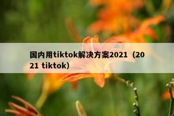 国内用tiktok解决方案2021（2021 tiktok） 第1张