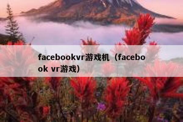 facebookvr游戏机(facebook vr游戏) 第1张 facebookvr游戏机(facebook vr游戏) 第1张