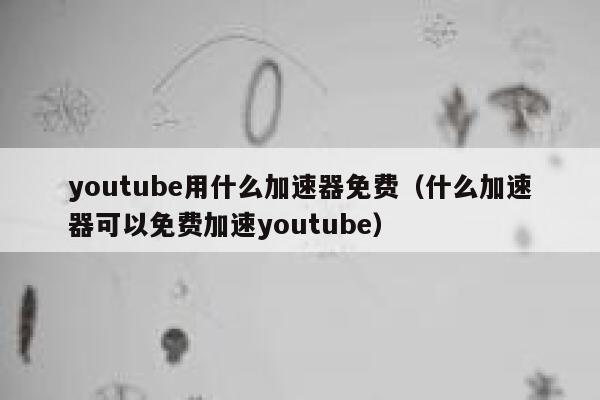 youtube用什么加速器免费（什么加速器可以免费加速youtube） 第1张