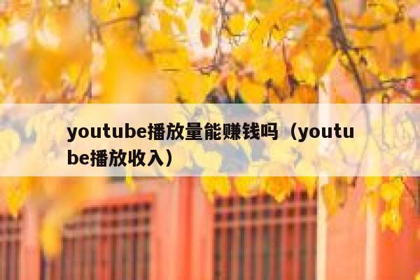 youtube播放量能赚钱吗（youtube播放收入） 第1张