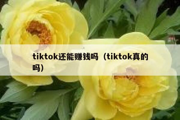 tiktok还能赚钱吗(tiktok真的吗) 第1张 tiktok还能赚钱吗(tiktok真的吗) 第1张