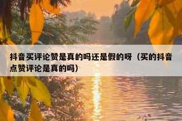 抖音买评论赞是真的吗还是假的呀(买的抖音点赞评论是真的吗) 第1张 抖音买评论赞是真的吗还是假的呀(买的抖音点赞评论是真的吗) 第1张