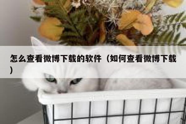 怎么查看微博下载的软件（如何查看微博下载） 第1张