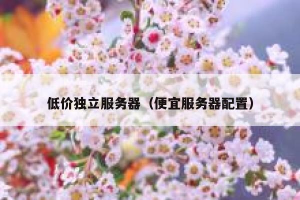 低价独立服务器（便宜服务器配置） 第1张