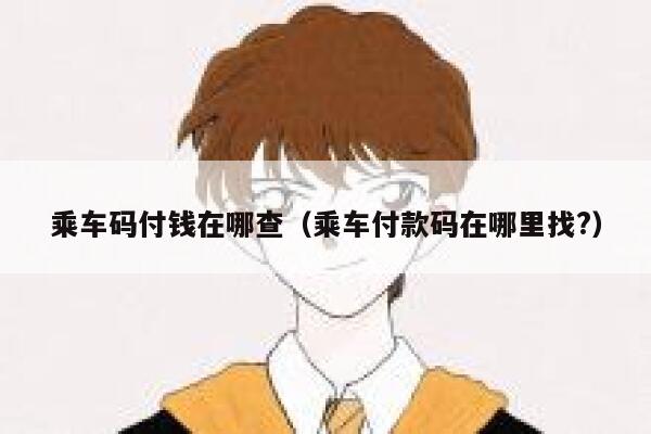 乘车码付钱在哪查（乘车付款码在哪里找?） 第1张