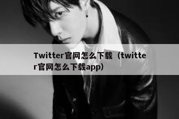 Twitter官网怎么下载（twitter官网怎么下载app） 第1张