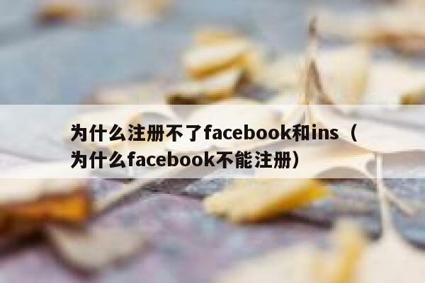 为什么注册不了facebook和ins（为什么facebook不能注册） 第1张
