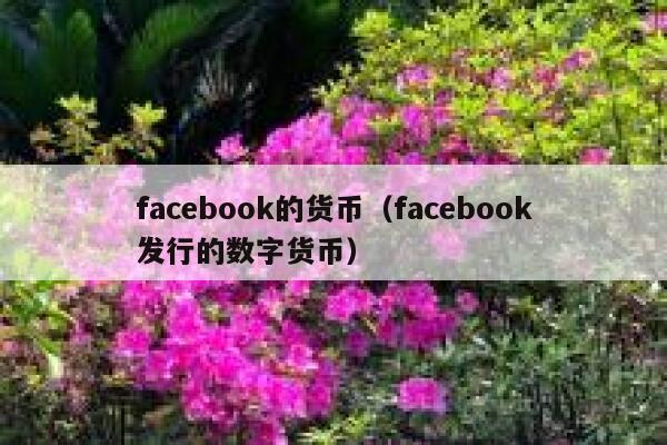 facebook的货币（facebook发行的数字货币） 第1张