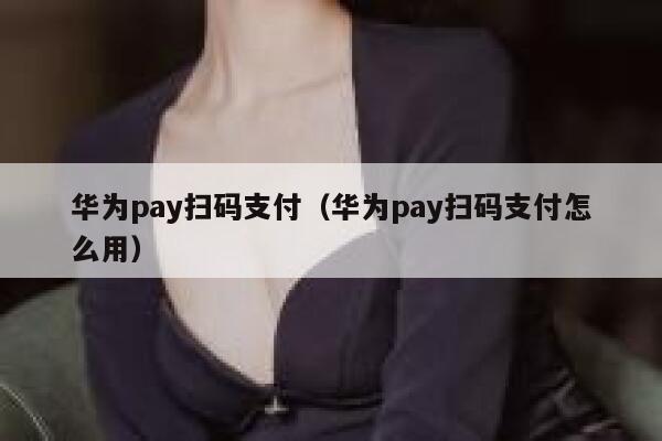 华为pay扫码支付(华为pay扫码支付怎么用) 第1张 华为pay扫码支付(华为pay扫码支付怎么用) 第1张