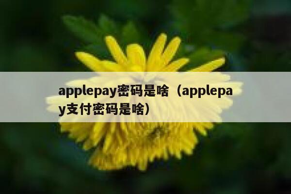 applepay密码是啥(applepay支付密码是啥) 第1张 applepay密码是啥(applepay支付密码是啥) 第1张