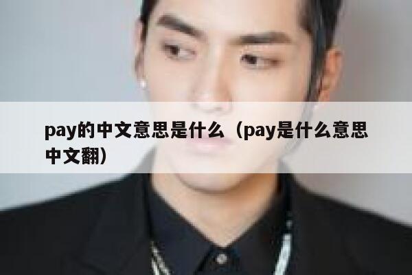pay的中文意思是什么(pay是什么意思中文翻) 第1张 pay的中文意思是什么(pay是什么意思中文翻) 第1张