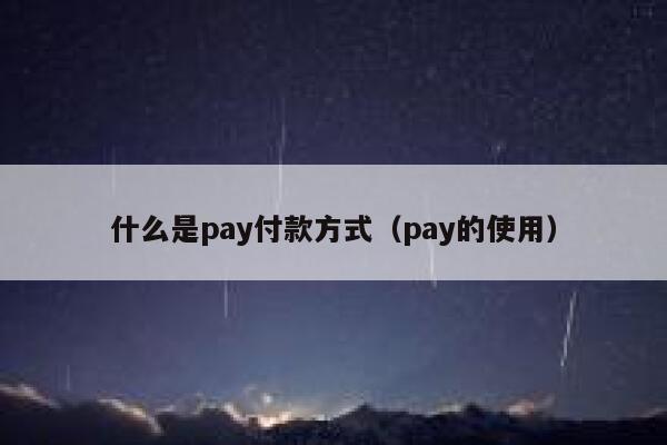 什么是pay付款方式(pay的使用) 第1张 什么是pay付款方式(pay的使用) 第1张