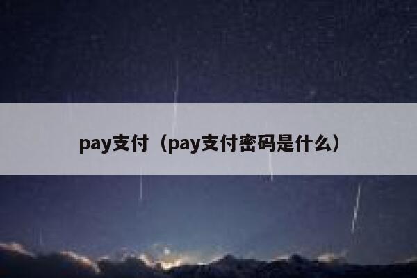 pay支付（pay支付密码是什么） 第1张