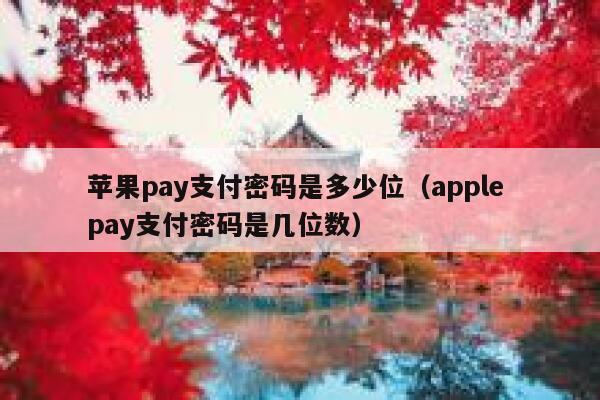 苹果pay支付密码是多少位(apple pay支付密码是几位数) 第1张 苹果pay支付密码是多少位(apple pay支付密码是几位数) 第1张