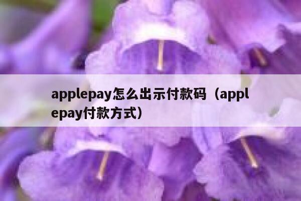 applepay怎么出示付款码（applepay付款方式） 第1张