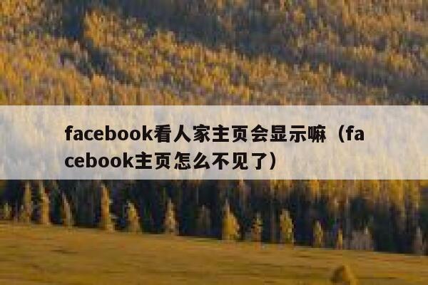 facebook看人家主页会显示嘛（facebook主页怎么不见了） 第1张