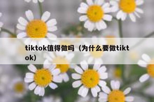tiktok值得做吗（为什么要做tiktok） 第1张