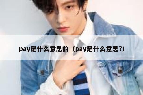 pay是什么意思的（pay是什么意思?） 第1张