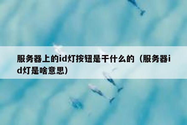 服务器上的id灯按钮是干什么的（服务器id灯是啥意思） 第1张