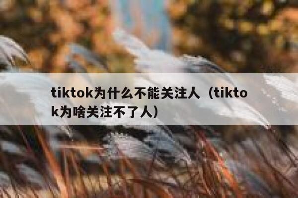 tiktok为什么不能关注人（tiktok为啥关注不了人） 第1张
