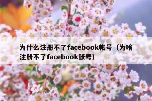 为什么注册不了facebook帐号（为啥注册不了facebook账号） 第1张