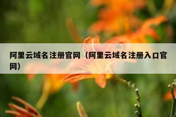 阿里云域名注册官网(阿里云域名注册入口官网) 第1张 阿里云域名注册官网(阿里云域名注册入口官网) 第1张