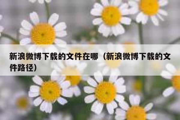 新浪微博下载的文件在哪（新浪微博下载的文件路径） 第1张