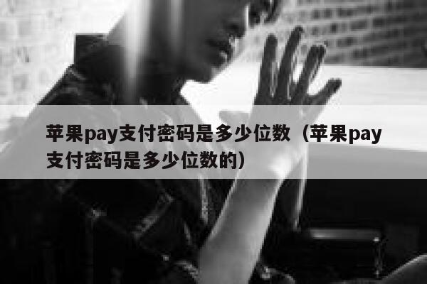 苹果pay支付密码是多少位数(苹果pay支付密码是多少位数的) 第1张 苹果pay支付密码是多少位数(苹果pay支付密码是多少位数的) 第1张
