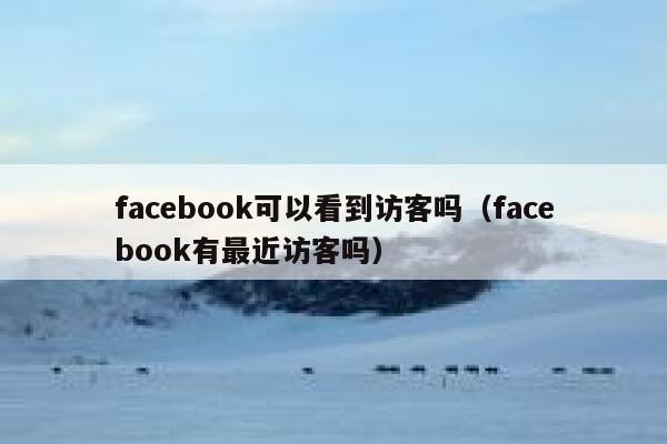 facebook可以看到访客吗（facebook有最近访客吗） 第1张