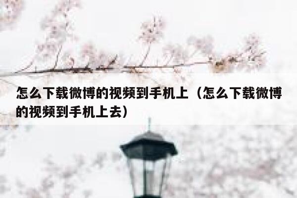怎么下载微博的视频到手机上（怎么下载微博的视频到手机上去） 第1张