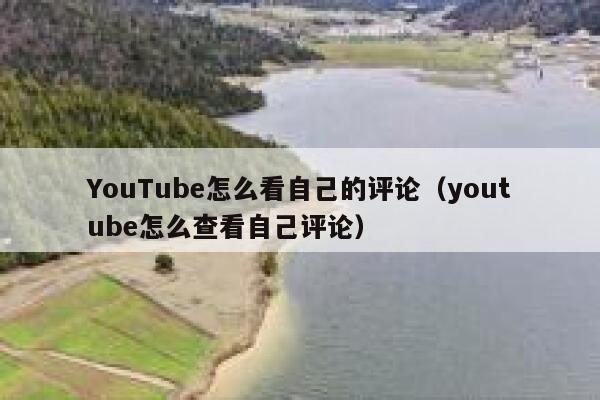 YouTube怎么看自己的评论（youtube怎么查看自己评论） 第1张