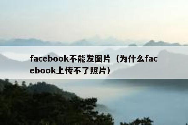 facebook不能发图片(为什么facebook上传不了照片) 第1张 facebook不能发图片(为什么facebook上传不了照片) 第1张