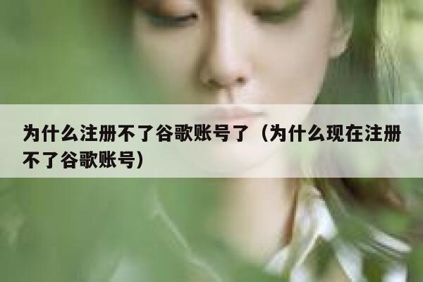 为什么注册不了谷歌账号了（为什么现在注册不了谷歌账号） 第1张