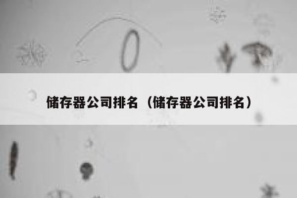 储存器公司排名（储存器公司排名） 第1张