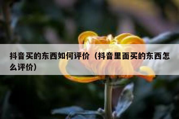抖音买的东西如何评价(抖音里面买的东西怎么评价) 第1张 抖音买的东西如何评价(抖音里面买的东西怎么评价) 第1张