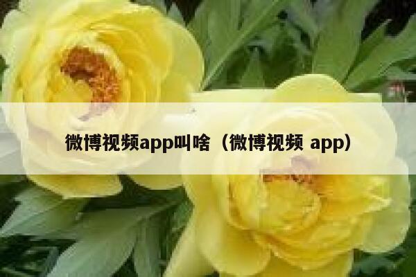 微博视频app叫啥(微博视频 app) 第1张 微博视频app叫啥(微博视频 app) 第1张