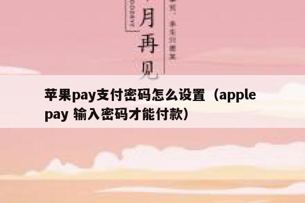 苹果pay支付密码怎么设置（apple pay 输入密码才能付款） 第1张