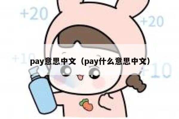 pay意思中文（pay什么意思中文） 第1张