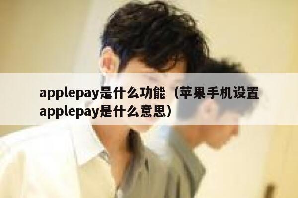 applepay是什么功能（苹果手机设置applepay是什么意思） 第1张
