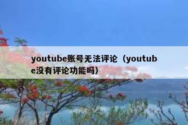 youtube账号无法评论（youtube没有评论功能吗） 第1张
