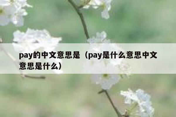 pay的中文意思是（pay是什么意思中文意思是什么） 第1张
