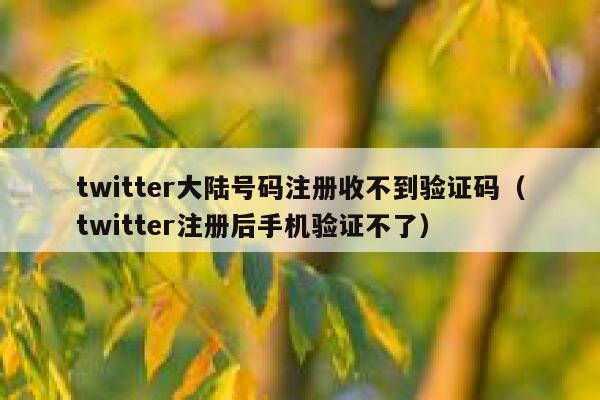 twitter大陆号码注册收不到验证码（twitter注册后手机验证不了） 第1张
