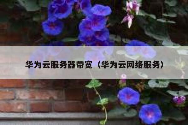 华为云服务器带宽（华为云网络服务） 第1张