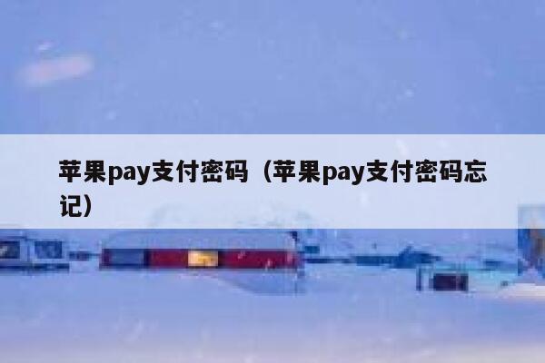 苹果pay支付密码（苹果pay支付密码忘记） 第1张