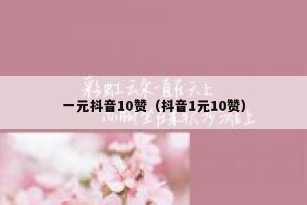 一元抖音10赞（抖音1元10赞） 第1张