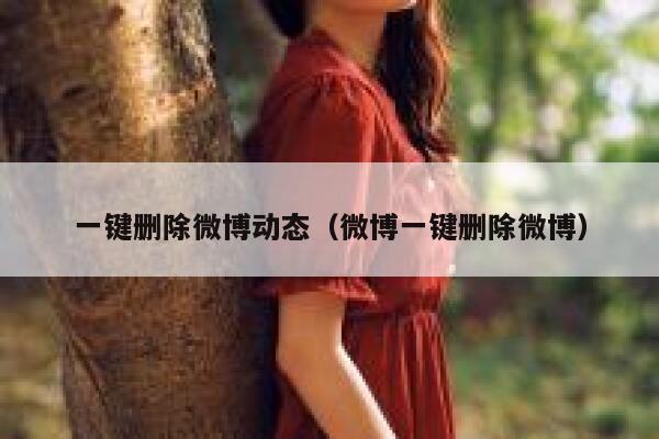 一键删除微博动态（微博一键删除微博） 第1张