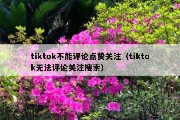 tiktok不能评论点赞关注(tiktok无法评论关注搜索) 第1张 tiktok不能评论点赞关注(tiktok无法评论关注搜索) 第1张