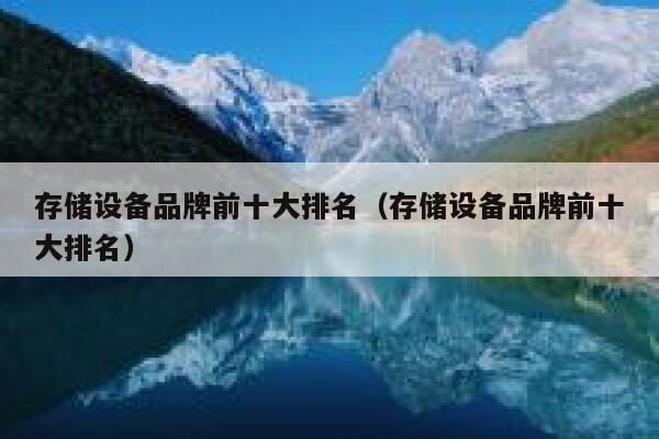 存储设备品牌前十大排名（存储设备品牌前十大排名） 第1张